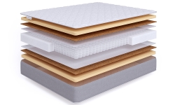  Beautyson Simple Double Memory Cocos S500 ()